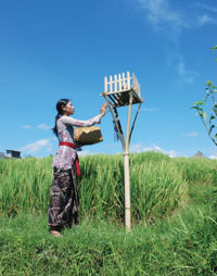 Ceremonial Ceremonial