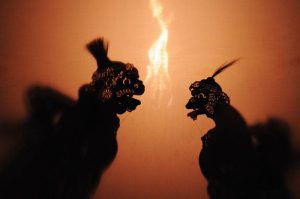 shadow puppet 01