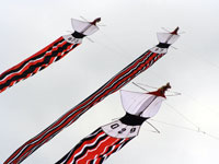 Bali Kites Festival 2 Janggan Kite - Bird Shaped