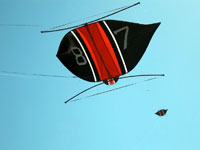 Bali Kites Festival 3 Pecukan Kite - Leaf Shaped