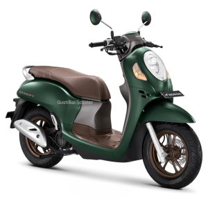 Scoopy-110