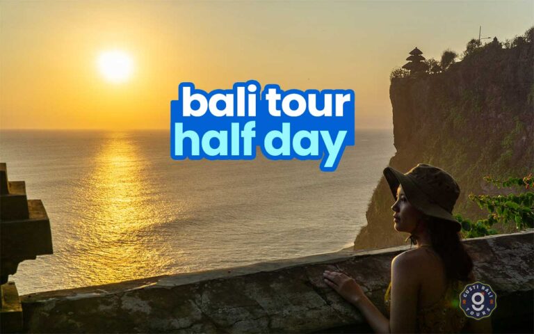 Bali Half Day Tour