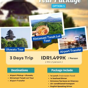 Bali Tour Package 5 Bali Vacation 3 Days Package