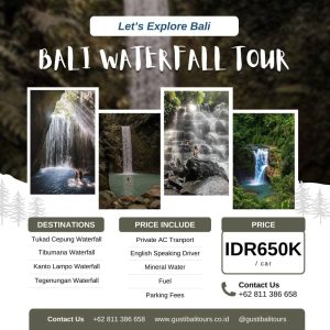 Bali Full Day Tour 3 Bali_Waterfall_Tour