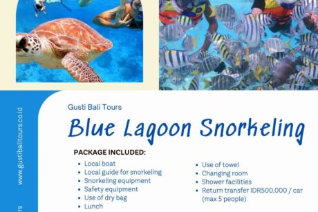 Blue Lagoon Snorkeling Bali 20250512 134927 0015 e1753512549337