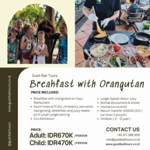 Bali Activity 6 Breakfast with Orangutan