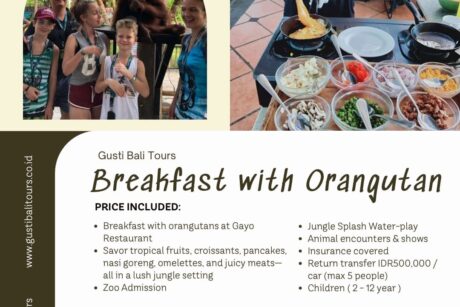 Breakfast With Orangutan Bali Zoo 20250512 134927 0025 e1753517780946