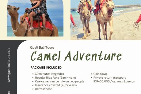 Camel Adventure Bali 20250512 134927 0023