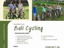 Downhill Cycling Bali 20250512 134927 0011