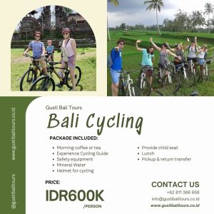 Bali Activity 25 Bali Cycling Tour
