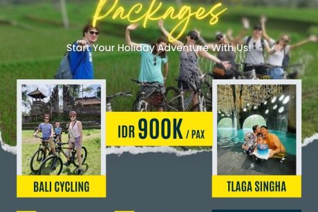 Downhill_Cycling_Tlaga_Singha_Bali