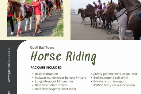 Horse Riding Bali 20250512 134927 0022