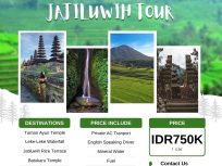Jatiluwih_Tour