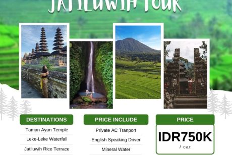 Jatiluwih_Tour