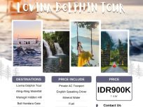 Lovina_Dolphin_Tour