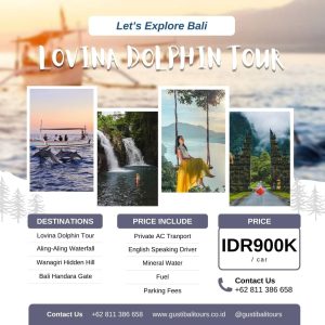 Bali Full Day Tour 12 Lovina_Dolphin_Tour