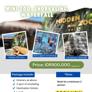 Bali Combination Package 9 Mini Zoo_Snorkeling_Waterfall_Bali