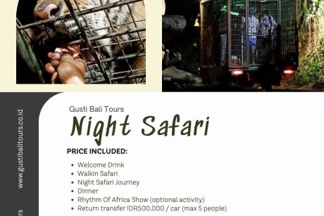 Night Safari Bali 20250512 134927 0026