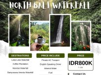 North_Bali_Waterfall_Tour