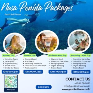 Bali Tour Package 4 Nusa Penida Packages
