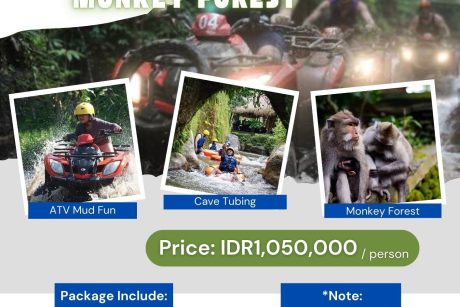 Quad Bike_Cave Tubing_Monkey Forest_Bali