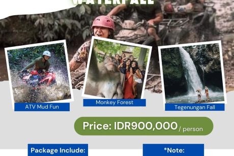 Quad Bike_Monkey Forest_Waterfall_Bali