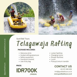 Bali Activity 27 Bali Telagawaja Rafting