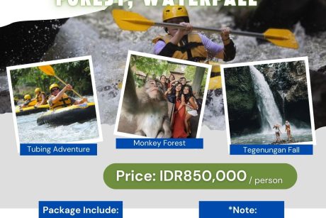 Tubing Adventure Monkey Forest Waterfall Package 1 Tubing Adventure_Monkey Forest_Waterfall_Bali
