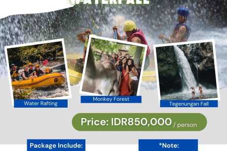Ubud Rafting_Monkey Forest_Waterfall_Bali