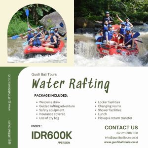 Bali Activity 14 Bali Ubud Rafting