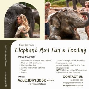 Bali Activity 10 Elephant Mud Fun