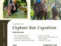 Elephant Ride Expedition