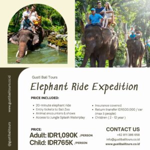 Bali Activity 21 Elephant Ride Expedition