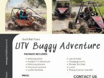Buggy UTV Bali
