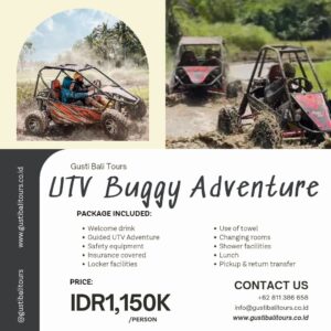 Bali Activity 26 Buggy UTV Bali